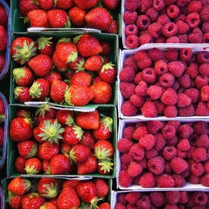 Ягоды в коробках на рынке продуктов питания Sault vaucluse provence france плакат печать