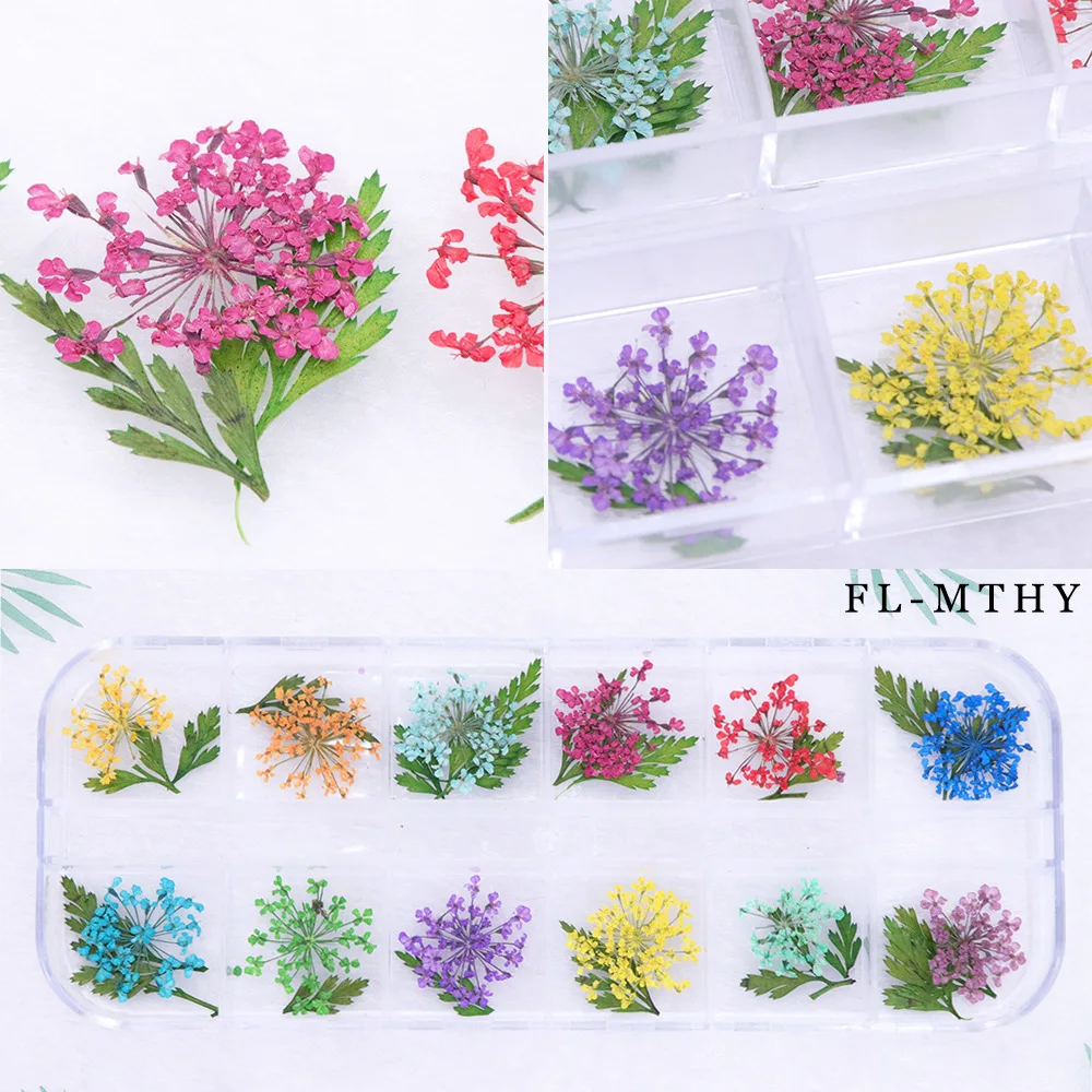 

Manicure Nail Dried Flowers Stickers Style Beauty Colors Real Design Sticker