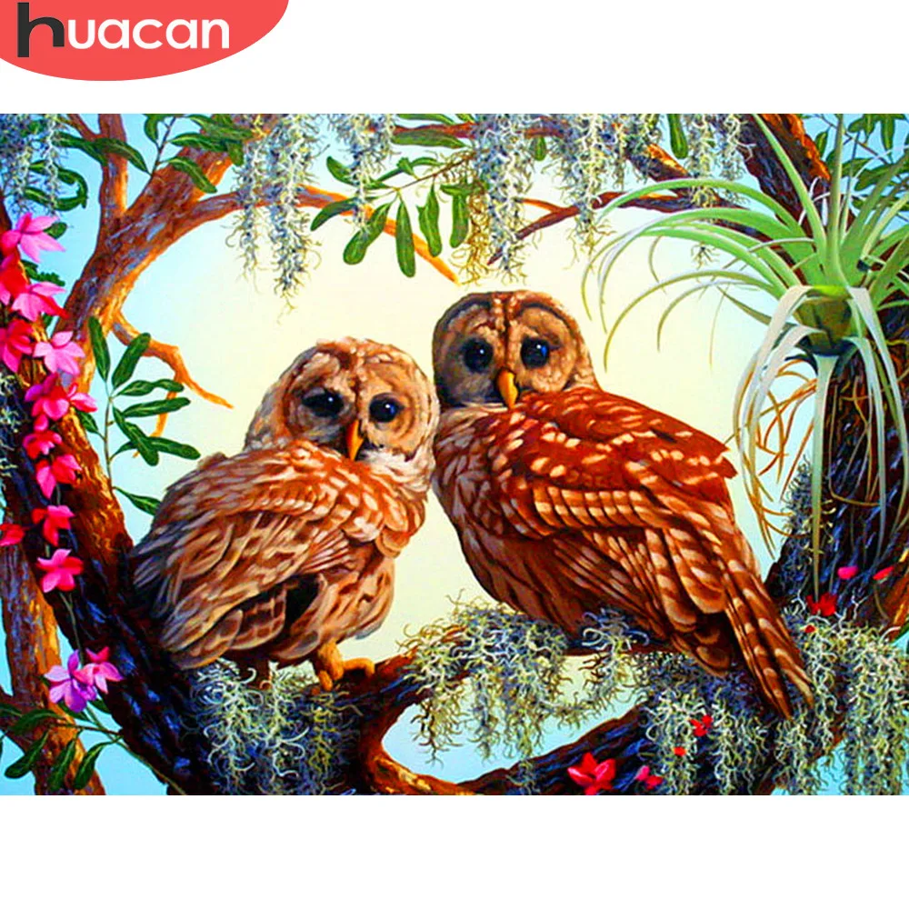 

HUACAN Diamond Mosaic Sale Owl Diamond Embroidery Full Display Animals Diamond Painting With Square Stones Rhinestones Pictures
