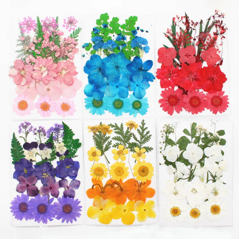 

Collection DIY Art Floral Decors Natural Dried Flowers Organic Pressed Flowers Nice Gift Portable Mixed Colors 1 Bag