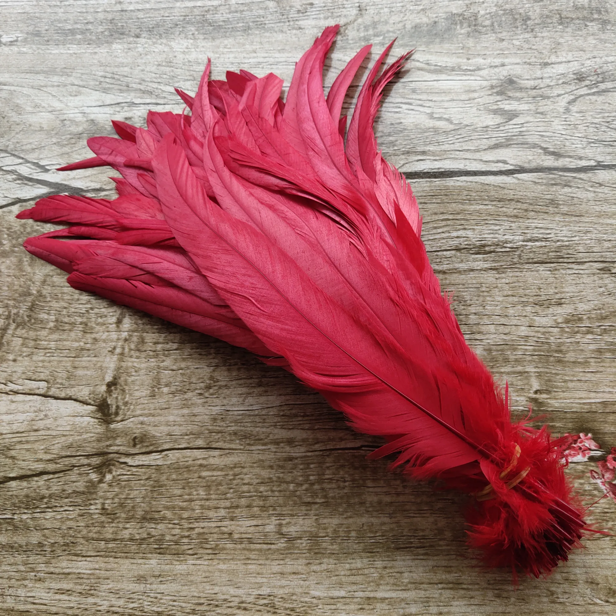 петушье перо. перо снегиря. петушок из перьев. петушиное перышко. перо снегиря.