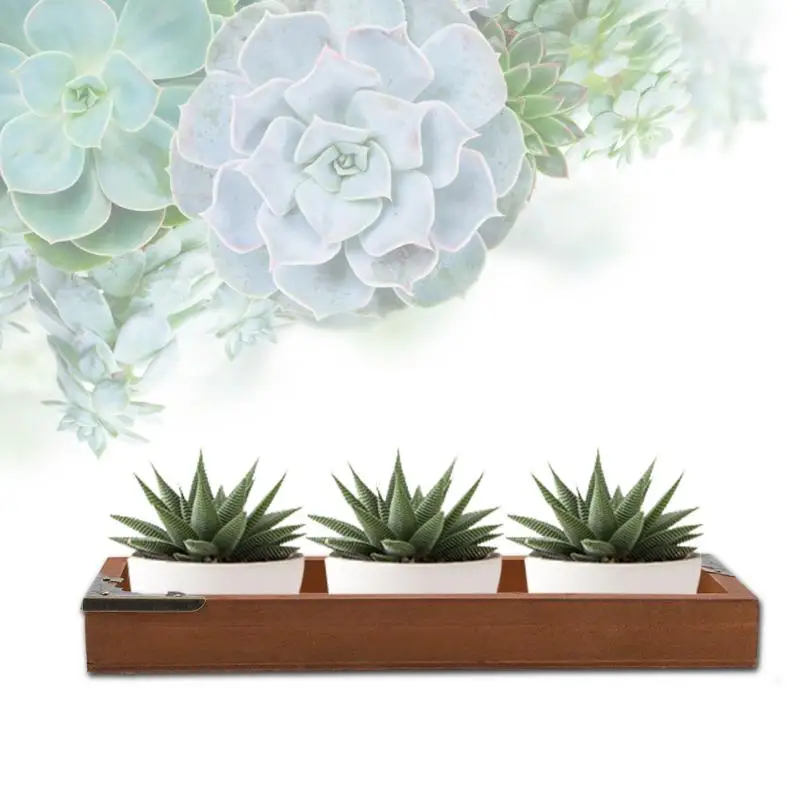 

Vintage Wooden Succulent Storage Box Organizer for Potted Plant Makeup Study Items