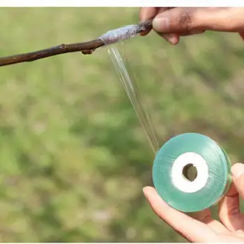 

Eco-friendly Grafting Tape for Garden Branch Strapping