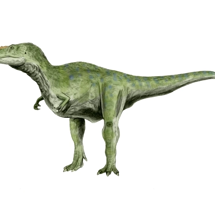 Alioramus плакат с динозавром принт (16x12)|Таблички и знаки| |