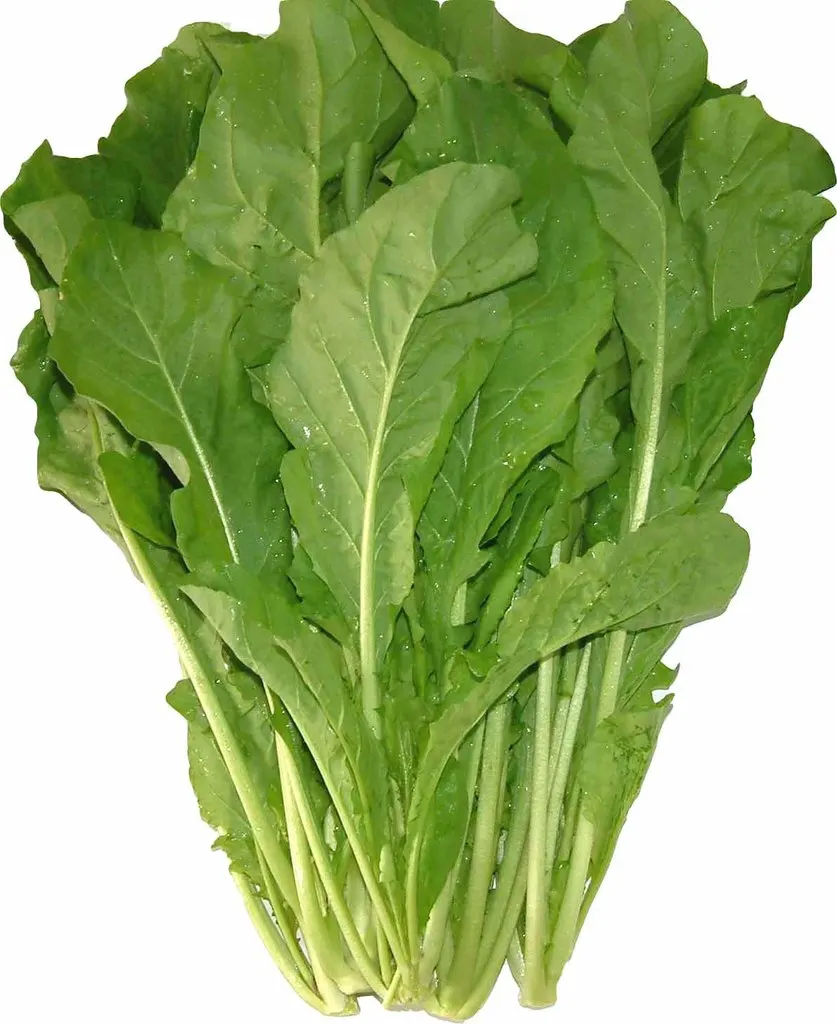 

Hot plate leaves arugula bonsai nutrition vegetable bonsais 100pcs