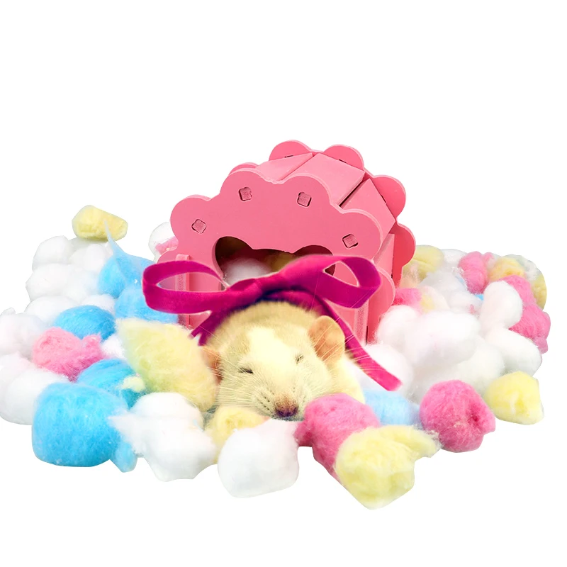 hamster in a house toy