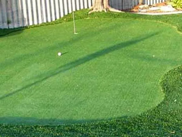 putting green grass (2)