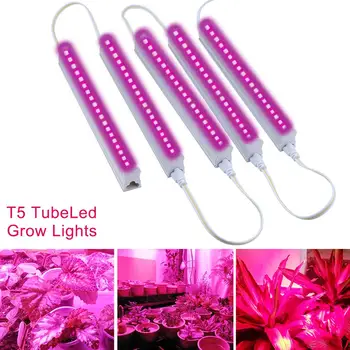 

CASTNOO T5 Tube LED Lamp Grow Light Lamps Full Spectrum Hydroponic Plant Growing Light For Indoor Garden Plants