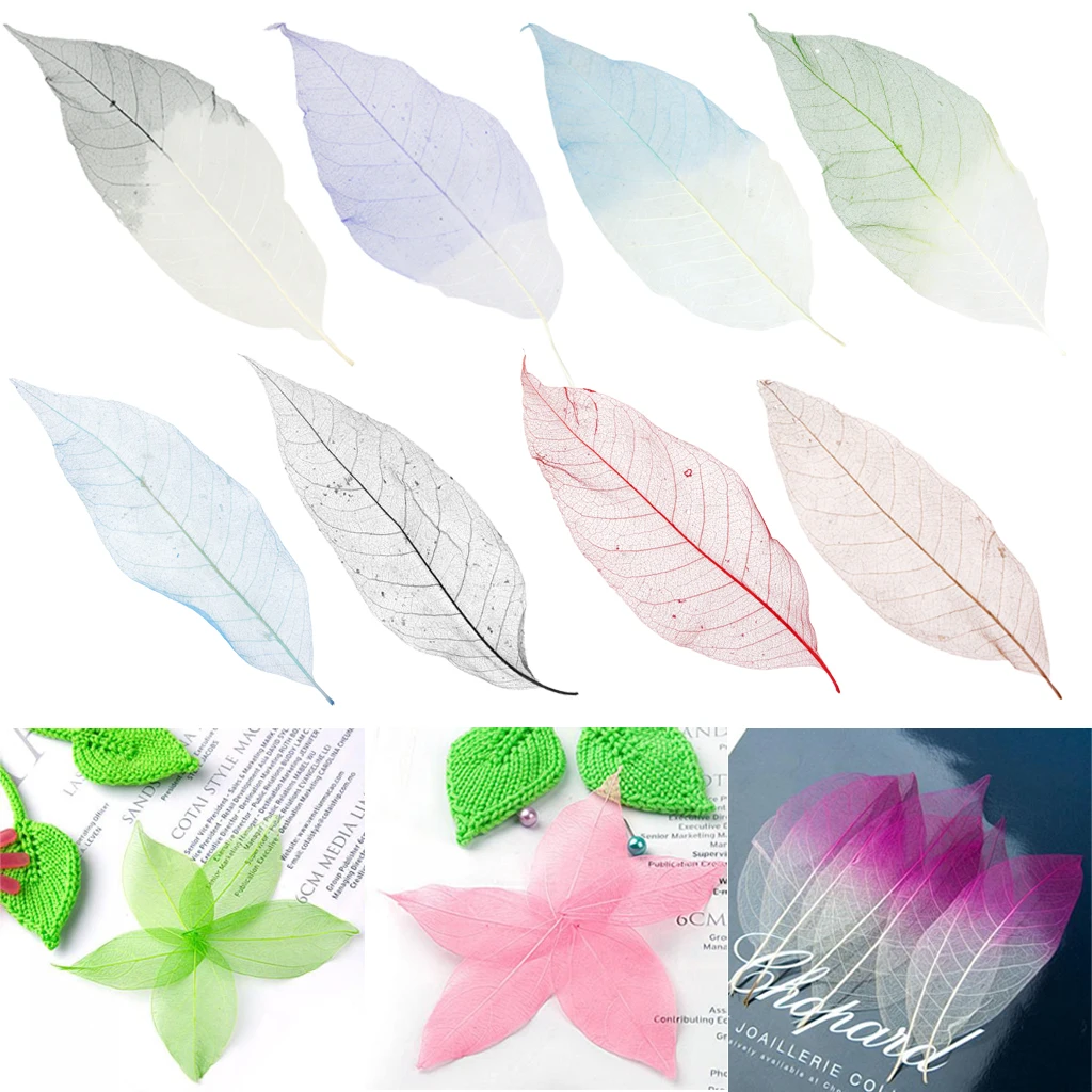 

Phenovo 50Pcs/Lot Multi color option Natural Magnolia Skeleton Leaf Leaves Card Scrapbook Wedding Party Decoration
