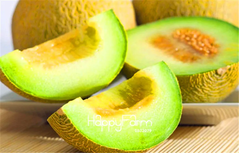

100 Pcs/Pack Big Sale!Sweet Melon bonsai,Non GMO,Organic Fruit garden
