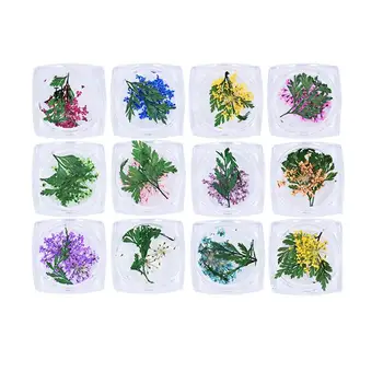 

12 Boxes Nail Dried Flower Beautiful 3D Applique Decals Nail Art Sticker Accessories for Women Ladies