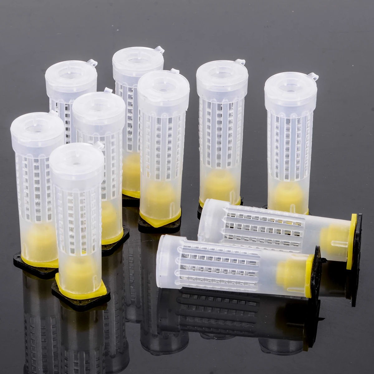 

10Pcs Bee Queen Bee Roller Cages + Cell Cup Holder & Fixtures Rearing Beekeeping Kit Set