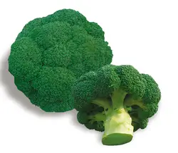 Ding Green Broccoli бонсай Овощной бонсай 10 шт