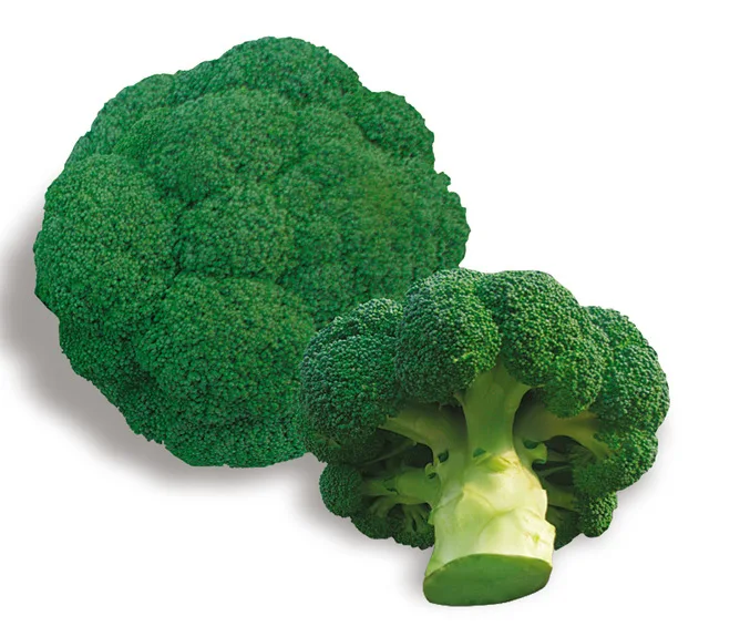 

Ding Green Broccoli bonsai Vegetable bonsai 10pcs