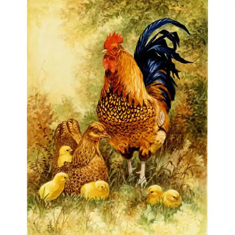 Full Drill Square Big rooster and chick Diamond Painting Kit - DIY Cross Stitch Rhinestone Mosaic | Дом и сад