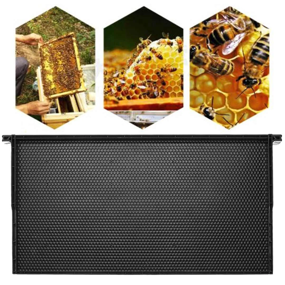 

Plastic Comb Foundation Beekeeping Supplies Black Comb Wax Foundation Comb Beehive Frames Honey Bee Beekeeping Hive Tools