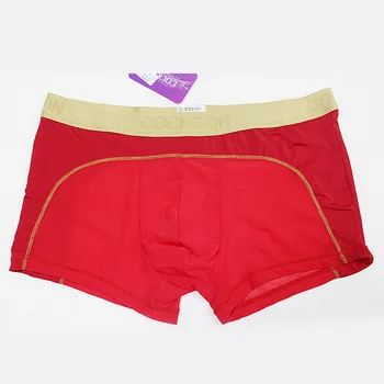 

New Phnom Penh Boxer Mesh Underpants Men Transparent Sexy Underpants Boxer Cuecas Shorts Men Panties Slip Homme