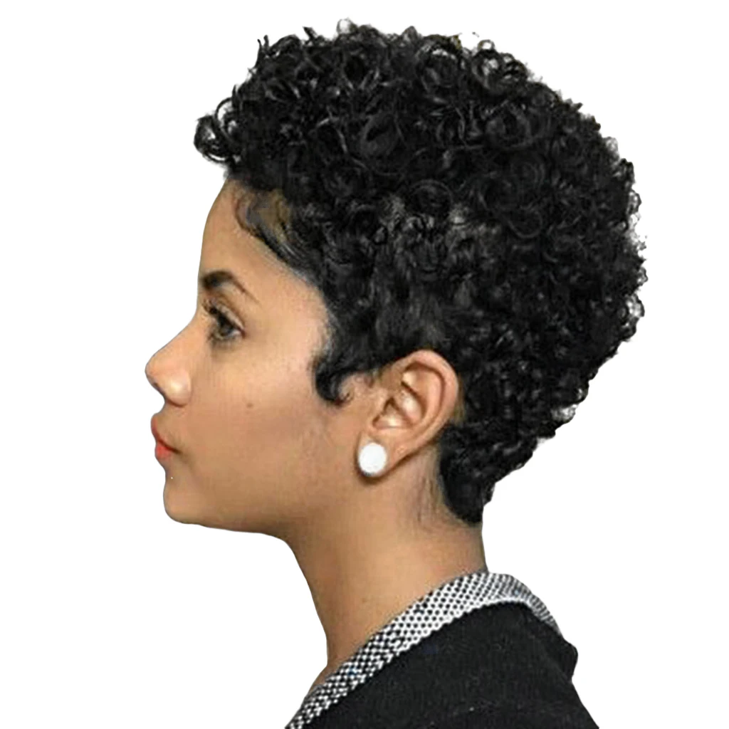 

6 Inch Afro Wig for Black Women, Short Curly Human Hair Wig,Soft Fluffy African Amercian Full Wig with Free Wig Cap Softer