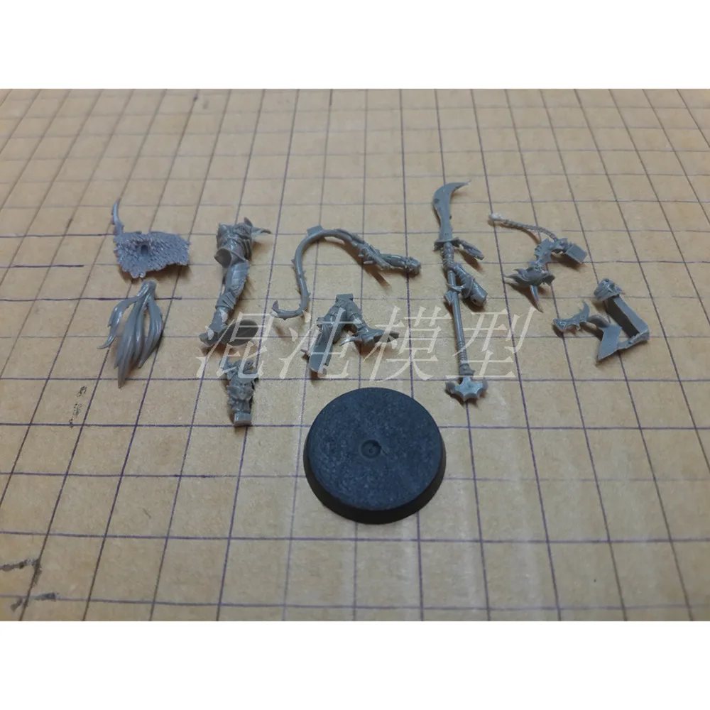 Суккуб|Наборы для сборки моделей| |