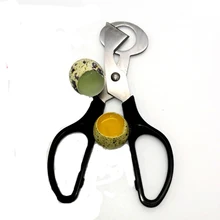 Quail Egg Cutter Pigeon Cracker Blade Clipper Cigar Opener Kitchen scissor Bird Tool