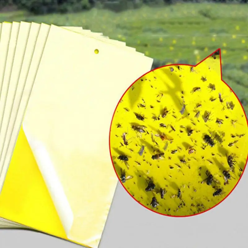 

10pcs Double-sided Yellow Sticky Insect Killer Pest Control Non-toxic Sticky Traps For Insect