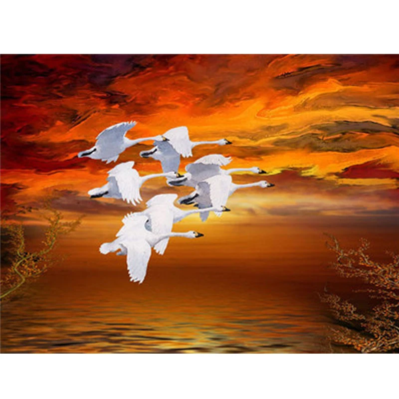 

Pictures Painting By Numbers Animals DIY Digital Oil Painting On Canvas Bird Home Decoration Wall Art 40*50cm