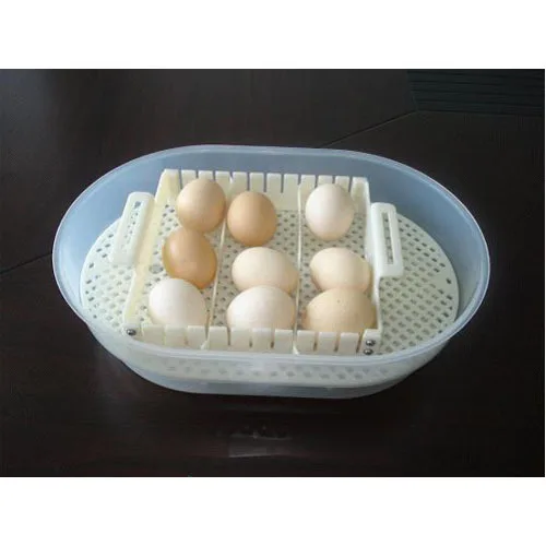 Dulong курица Брудер инкубация абсолютно инкубатор для яиц автоматический контроллер птицеводство птица инкубатор