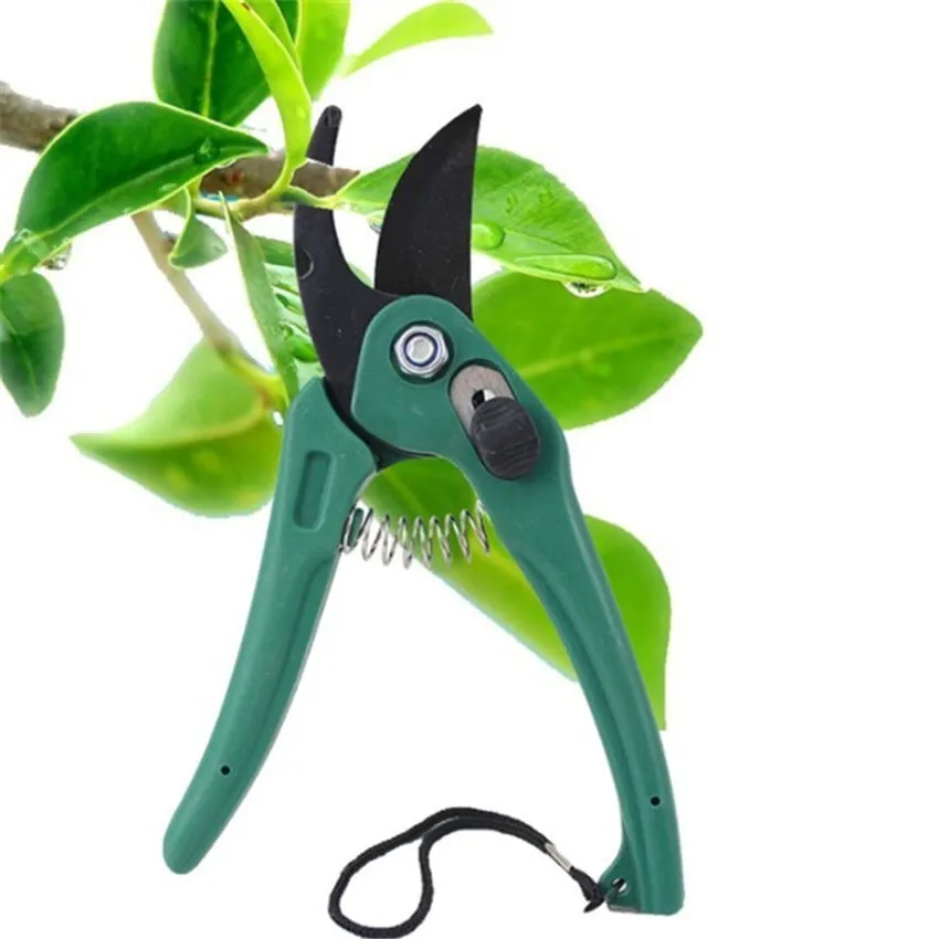 High grade Garden Fruit Branch Cut Branches Cut Garden Shears Pruning
