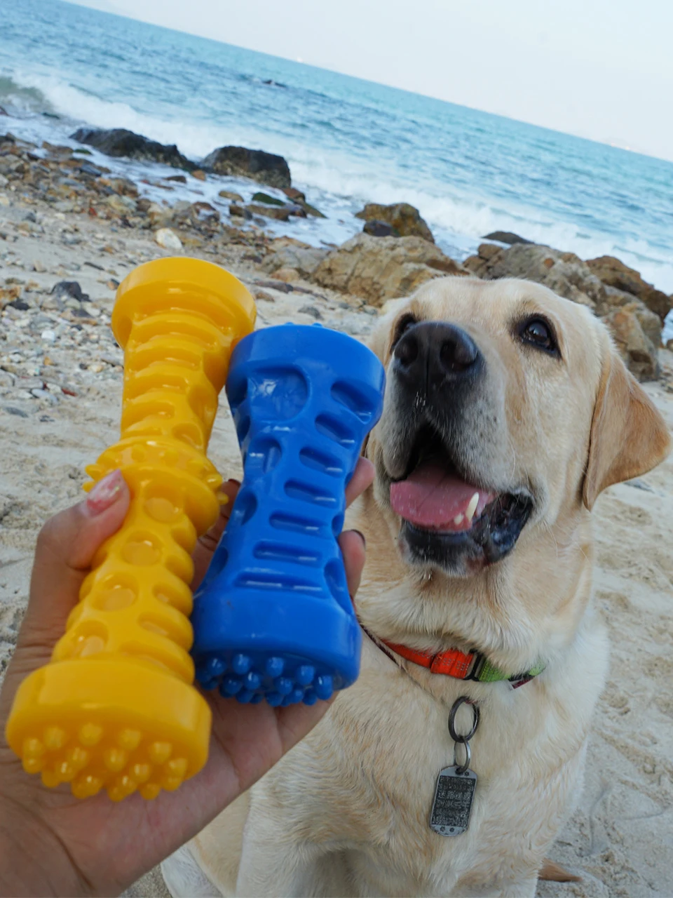 

New Rubber Small, Medium And Large Dog Sound Stick Dumbbell Pet Bite Cleaning Teeth Grinding Toys