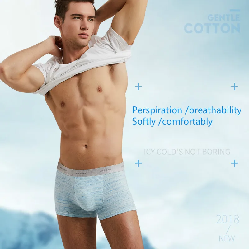 бердан boxershorts cuecas сумку боксеров homme марки хлопка mens оболочкой почты шорты