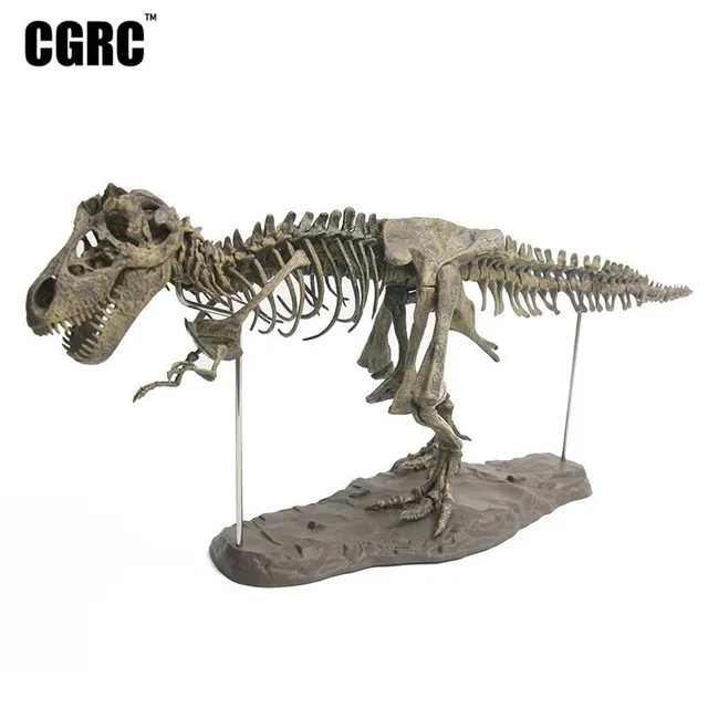 Cheap PVC Plastic Simulation Tyrannosaurus Fossil Dinosaur Skeleton Model Office Decoration Children's Teaching Toys Cheap PVC Plastic Simulation Tyrannosaurus Fossil Dinosaur Skeleton Model Office Decoration Children's Teaching Toys