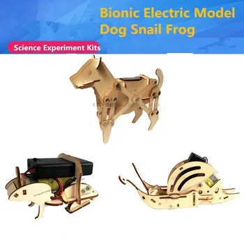 

DIY Wooden Toy Science Experiment Kits Bionic Animal Dog Snail Frog Fish Assemble Electric Model Kids Gifts Educational Toys
