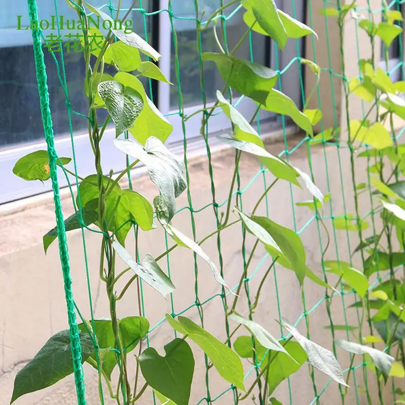 

Trellis Mesh Fence Planting Garden Net Fence Trellis Netting Heavy Suitable For Flowers Green Peas Cucumbers Tomatoes Beans Vine