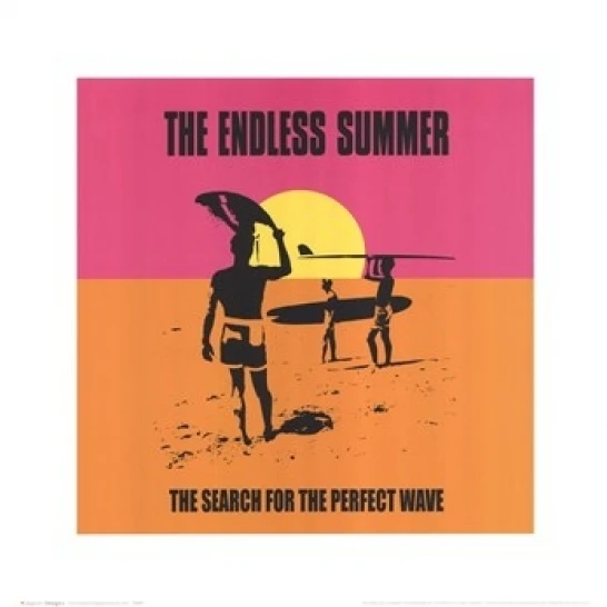 Endless Summer - Classic Laminated Poster (16 x 16) | Дом и сад