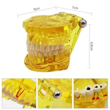 1 шт. Стоматологическая модель зубов, обучающая модель зубных зубов, модель имплантации зубов, Съемные Инструменты для обучения, оборудование