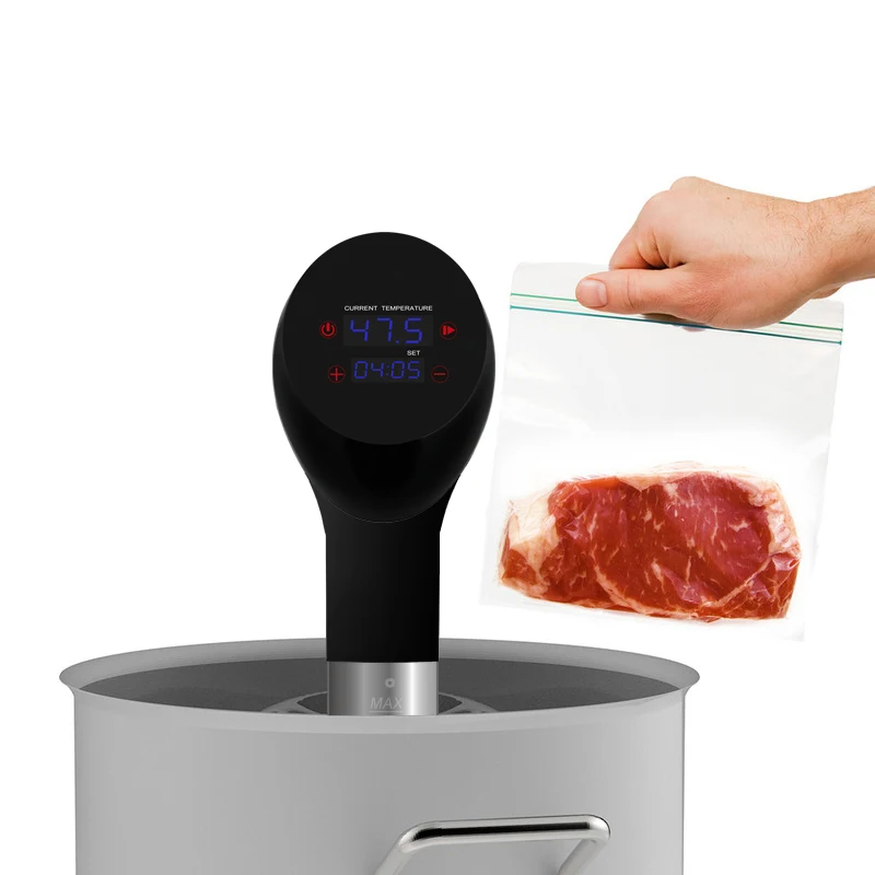 Vacuum Slow Cooker Steak Cook Machine Steak Cooker Vacuum Food