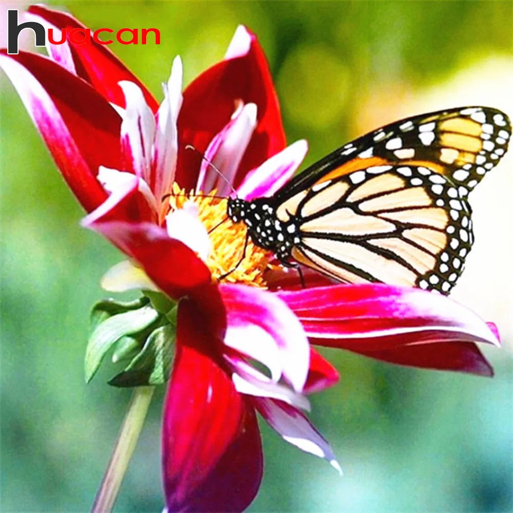 

Huacan 5D DIY Diamond Painting Animal Butterfly Full Square Rhinestone Picture Embroidery Sale Diamond Mosaic Decor Home