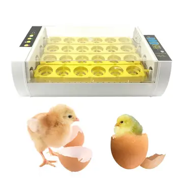 

Easy Clean 24pcs Eggs Incubator Digital Display Fully Automatic Hatcher Intelligent Temperature Control Home Use Hatcher