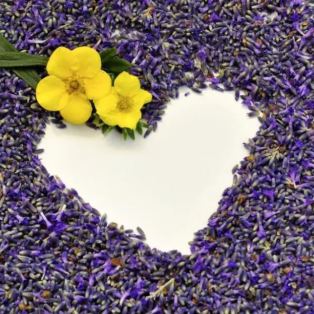 

30g Scent Fragrance Natural Dried Flower Lavender Particles Diy Aromatherapy Aromatic Air Refresh
