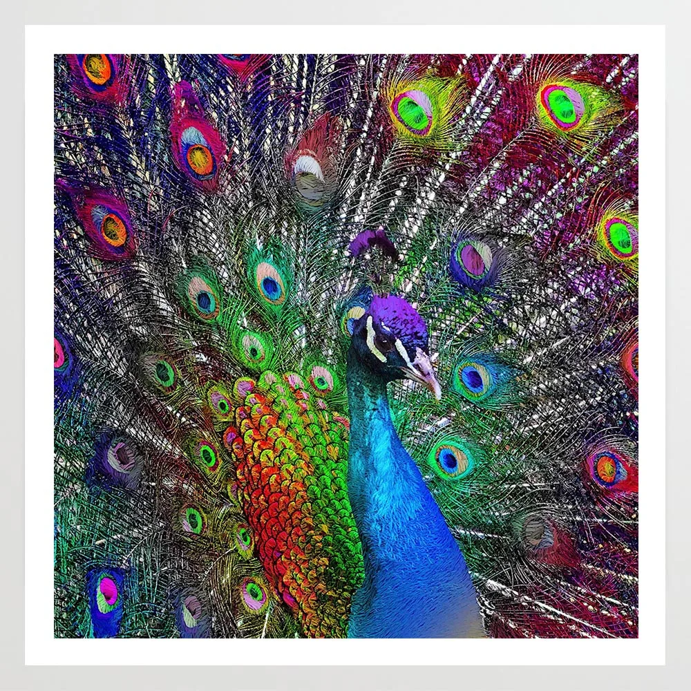 

SepYue Diamond Painting Full Square 5D Diamond Mosaic Rhinestone Pictures Diamond Embroidery Cross Stitch Needlework Peacock DP