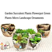 Модный сад мясистый цветочный горшок зеленое растение ручная роспись микро пейзаж плетение растение цветочный горшок Ремесло Украшение