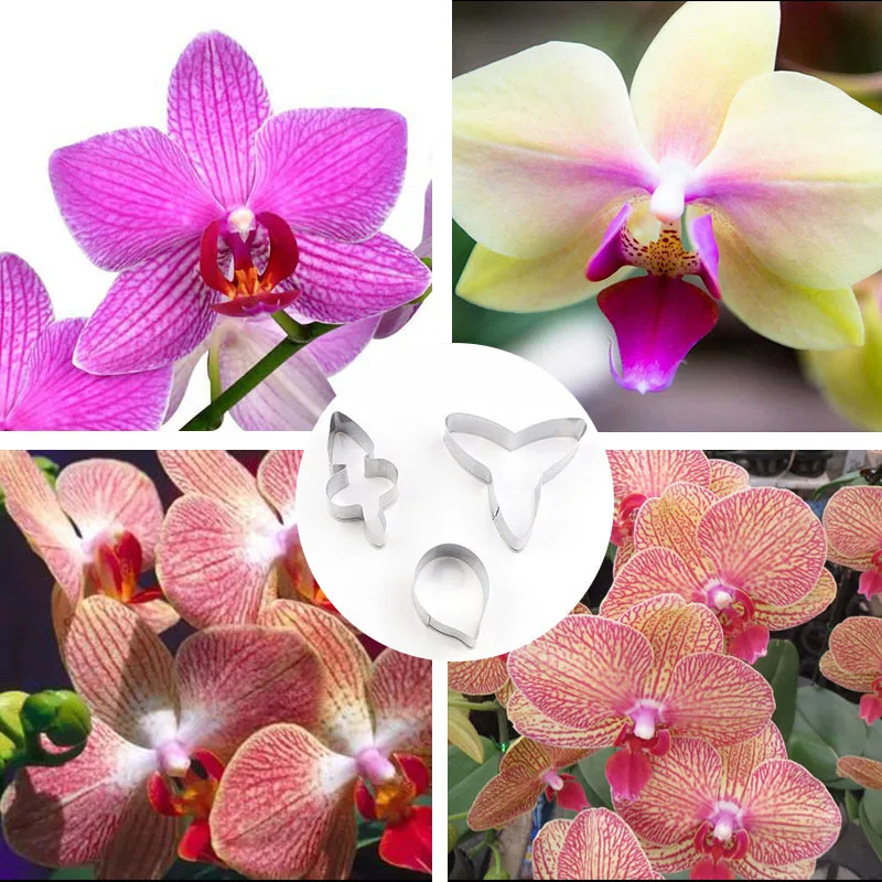 

38/37/35mm Stainless Steel Fuchsia Hybrida Flower Petal Cutting Mold Polymer Clay Craft Making Designer Clay cutter Tools