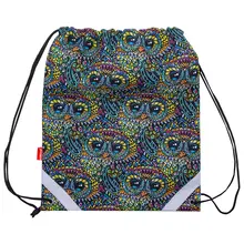 Мешок для обуви ErichKrause, Owls