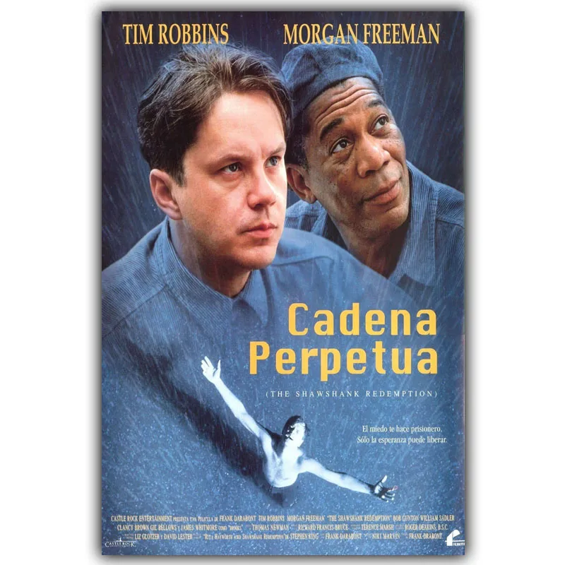 Художественный шелковый постер Shawshank с принтом 30x45 см 50x75 вдохновляющий