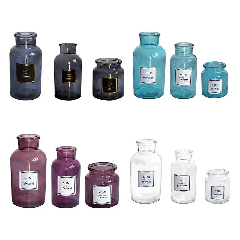 Simple Fashion Glass Vase Nordic Style Frosted Hydroponic Photo Props Transparent Hot Stamping Glass Vase Home Decoration
