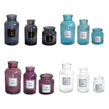 Simple Fashion Glass Vase Nordic Style Frosted Hydroponic Photo Props Transparent Hot Stamping Glass Vase Home Decoration