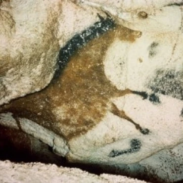 Cheval 15 000 Colombie Britannique Grotte Peinture Grottes De Lascaux France Affiche Imprimer 24x36 Aliexpress