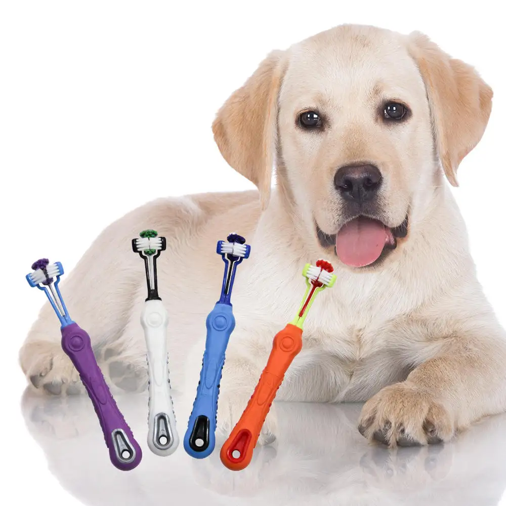 Купить для чистки зубов собаке. A Toothbrush for a Dog.