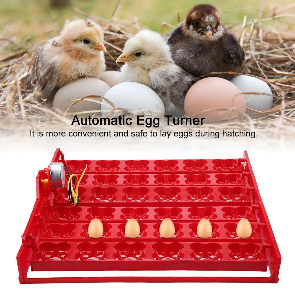 

36 Eggs/144 Bird Eggs Incubator Hatcher Automatic Egg Turning Tray Tool Convenient and Safe Egg Incubator