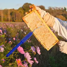 Мобильный пчела червь иглы Синий нержавеющая сталь инструмент пчеловода queen кормление системы для пчеловода